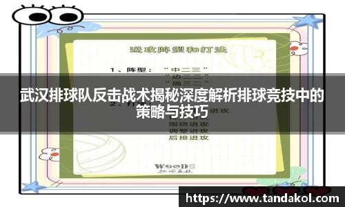 武汉排球队反击战术揭秘深度解析排球竞技中的策略与技巧