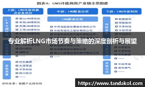 专业解析LNG市场节奏与策略的深度剖析与展望