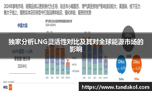 独家分析LNG灵活性对比及其对全球能源市场的影响