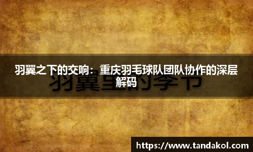 羽翼之下的交响：重庆羽毛球队团队协作的深层解码
