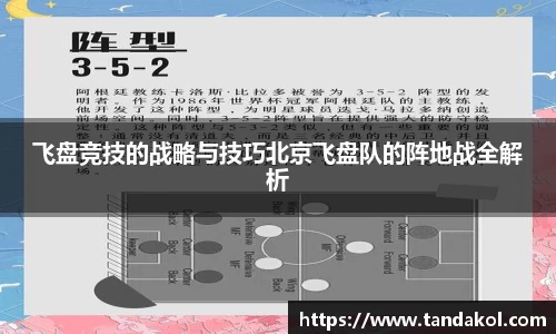 飞盘竞技的战略与技巧北京飞盘队的阵地战全解析