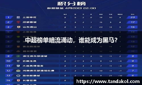 中超榜单暗流涌动，谁能成为黑马？