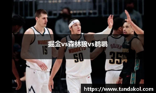 掘金vs森林狼vs鹈鹕