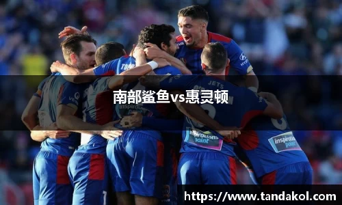 南部鲨鱼vs惠灵顿