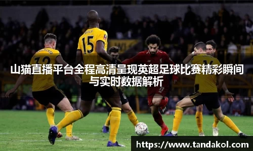 山猫直播平台全程高清呈现英超足球比赛精彩瞬间与实时数据解析