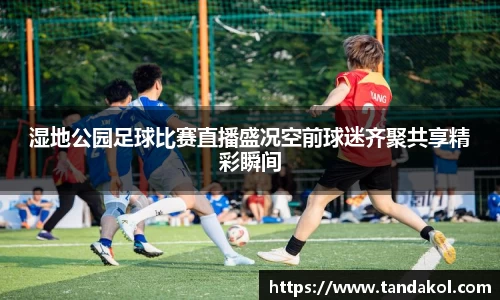 湿地公园足球比赛直播盛况空前球迷齐聚共享精彩瞬间