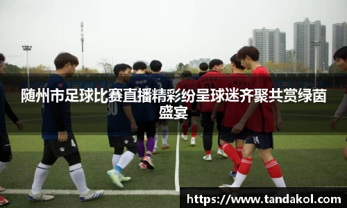 随州市足球比赛直播精彩纷呈球迷齐聚共赏绿茵盛宴