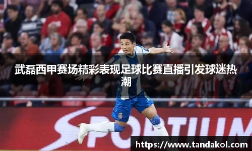武磊西甲赛场精彩表现足球比赛直播引发球迷热潮